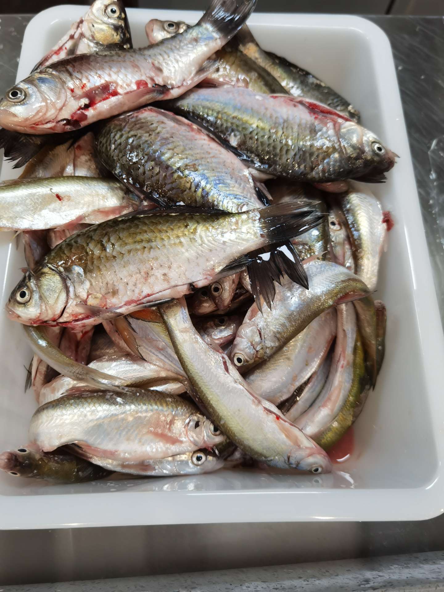 清江浦区蒋坝私房菜野生鱼虾